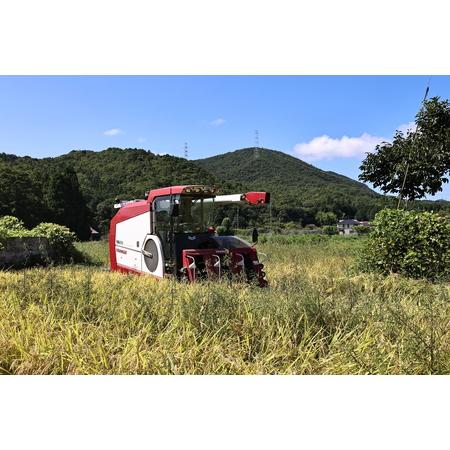 ふるさと納税 【令和7年産丹波篠山産】コシヒカリ 玄米 30kg 