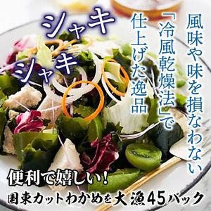 ふるさと納税 0005N_便利で嬉しい！国東カットわかめを大漁45パック 大分県国東市
