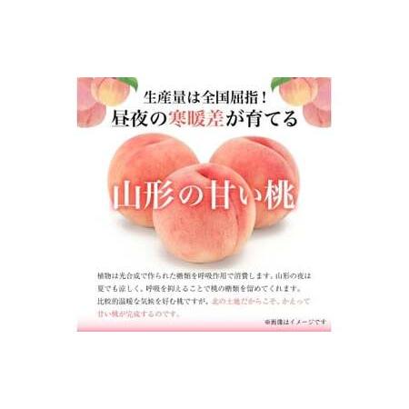 ふるさと納税 《先行予約 2026年度発送》【山形県産】白桃5kg(小玉20〜25玉) もも モモ 桃 デザート フルーツ 果物 くだもの 果実 食品 山形県 FSY-250.. 山形県の画像