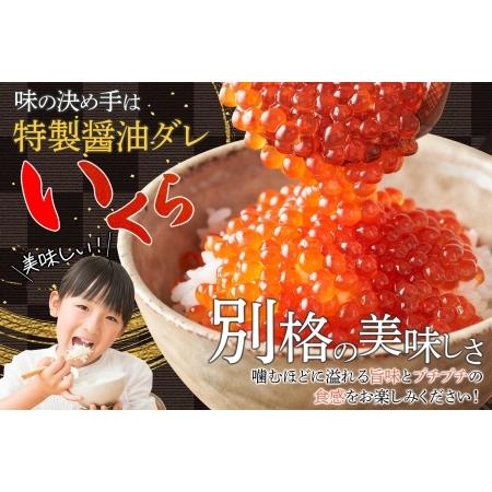 魚介類、海産物 ふるさと納税 【年内配送12月14日決済完了分まで受付】