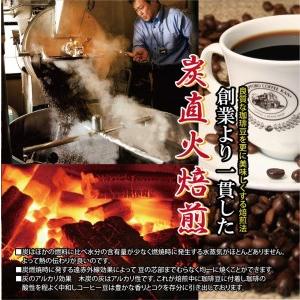 ふるさと納税 焙煎工房直送 炭火焙煎レギュラーコーヒー100ｇ×2袋 北海道江別市