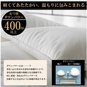ふるさと納税 【日本製】羽毛布団 ホワイトダックダウン 93％ ダブル