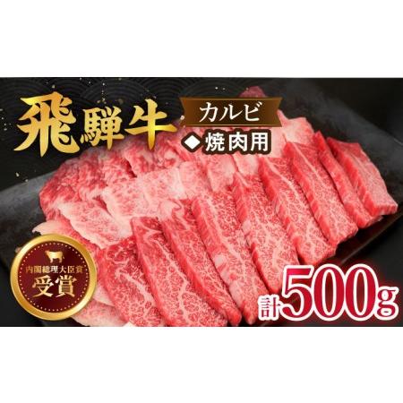 ふるさと納税 ＼肉厚で食べ応えたっぷり/ [飛騨牛]焼肉用 カルビ 500g[肉のひぐち]国産 ブランド牛 和牛 BBQ キャンプ [TDC001] 岐阜県多治見市