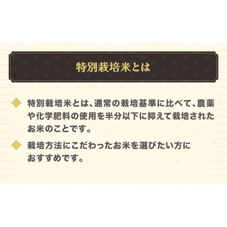 ふるさと納税 令和7年産 玄米 特別栽培米 つや姫 30kg ja-tsgta30 山形県尾花沢市の画像