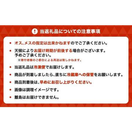 ふるさと納税 すっぽん 約400g すっぽん鍋 高級 簡単調理 すっぽん料理 スッポン スッポン鍋 加工 スッポン 冷凍肉 約400g 熊本県宇城市の画像