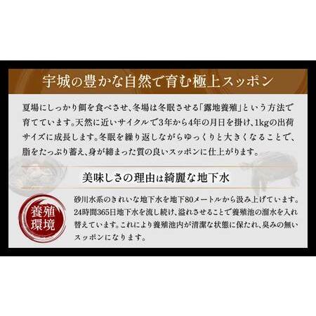 ふるさと納税 すっぽん 約800g （約400g×2）すっぽん鍋 高級 簡単調理 すっぽん料理 スッポン スッポン鍋 加工 スッポン 冷凍肉 約800g 熊本県宇城市の画像