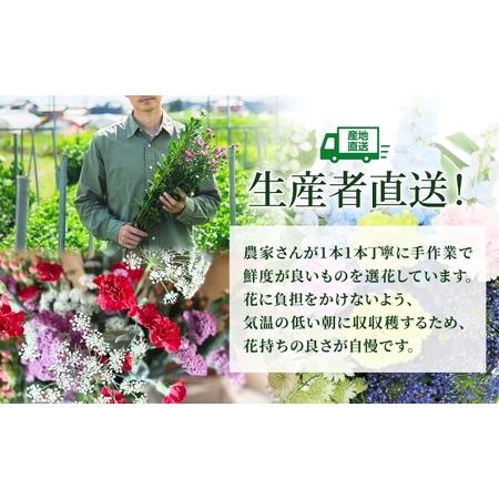ふるさと納税 ＜2026年9月〜11月まで3ヵ月年代順の継続お届け＞北海道 カーネーション 入り合わせる 4種類 20本以上 花 胸花 切花 胸花 旬 時季 生け花 フラ.. 北海道月形町