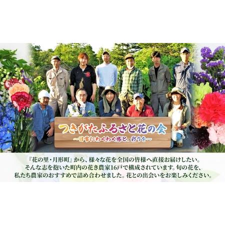 ふるさと納税 ＜2026年9月〜11月まで3ヵ月年代順の継続お届け＞北海道 カーネーション 入り合わせる 4種類 20本以上 花 胸花 切花 胸花 旬 時季 生け花 フラ.. 北海道月形町