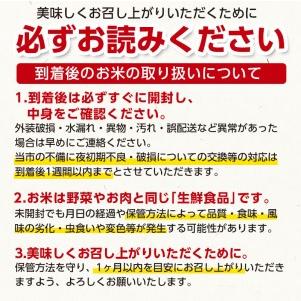 【初期/レア】 ふるさと納税 【令和5年産】新米 【12ヶ月定期便】工藤さんの特別栽培米 つや姫無洗米 10kg（5kg×2袋）× 12回（計120kg） 山形県鶴岡市 【A1949114002】(68640円)
