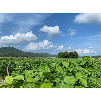 ふるさと納税 丹波篠山黒豆プリンと川北黒大豆のセット BT11 お菓子 おかし スイーツ お取り寄せ お取り寄せスイーツ お土産 洋菓子 食品 食.. 兵庫県丹波篠山市の画像