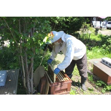【養蜂家直送】 はちみつ 2kg 国産 天然 純粋 生蜂蜜 7月新蜜 夏の百花蜜 ふるさと納税 【限定数】非加熱 純国産100％『天空の黄金はちみつ