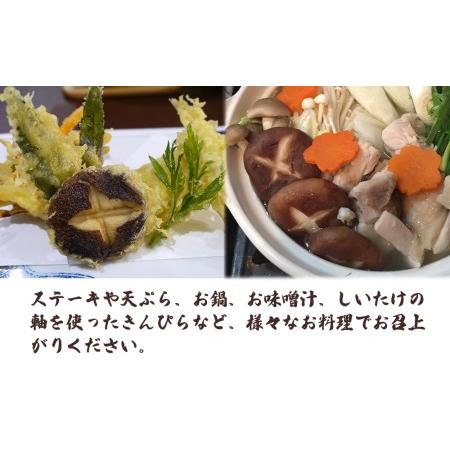 ふるさと納税 【期間限定】朝採れ 生椎茸 800g以上 生しいたけ 生シイタケ 原木栽培 茸 きのこ 大分県産 九州産 中津市 国産 大分県中津市｜furunavi｜04