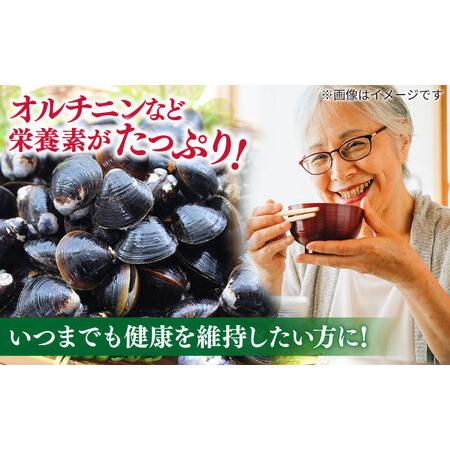 ふるさと納税 しじみ 【砂抜き不要】お湯をそそぐだけ！宍道湖産しじみのみそ汁1食用×50袋セット 島根県松江市/平野醤油 [ALCA004] しじみ .. 島根県松江市の画像