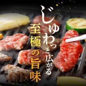 ふるさと納税 玉城町産 松阪牛・玉城豚 焼肉用 600g[松阪牛 玉城 ふるさと納税 玉城町産 松阪牛・玉城豚 焼肉用 600g[松阪牛 玉城