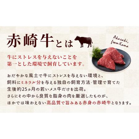 ふるさと納税 【冷蔵】【定期便3回】赤崎牛 赤身レンガステーキ 約600g×3ヶ月 福岡県嘉麻市｜furunavi｜02