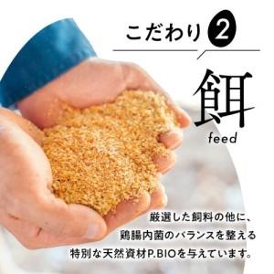 ふるさと納税 【定期便12ヵ月】《毎月16日にお届け》御殿たまご　赤たまご24個入り（破損保障含む） ｜ 卵 タマゴ 玉子 たまごかけご飯 生卵 .. 静岡県御殿場市_2