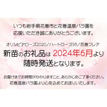 ふるさと納税 花巻温泉バラ園 オリジナル品種「ハートローズ95」新苗＜2024年6月より随時発送＞  【1369】 岩手県花巻市｜furunavi｜02