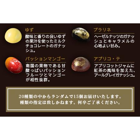 ふるさと納税 【匠の技】菓子工房 ひのでや てづくり ショコラ 15個 詰め合わせセット【シェフのこだわりと技術が詰まったチョコレート】ショコ.. 佐賀県鹿島市_4