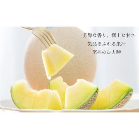 ふるさと納税 クラウンメロン【上（山等級）】1玉（1.3kg前後）＋うなぎ白焼（120g×5尾）セット 果物 フル?ツ マスクメロン 上品な甘み と.. 静岡県浜松市_1