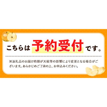 ふるさと納税 先行予約】 梨 旬の梨 約 3kg (4~9玉) 藤末果樹園 熊本県荒尾市産 期間限定 《7月中旬-10月中旬頃出荷》フルーツ 果物 荒尾梨 はつ.. 熊本県荒尾市｜furunavi｜02