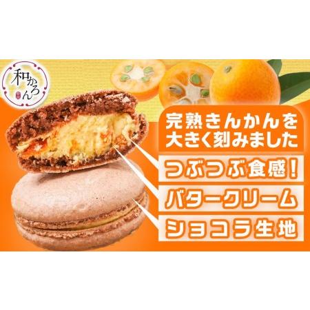 ふるさと納税 完熟きんかんのフローズンセット_AA-J701_(都城市) 氷結きんかん 完熟きんかんマカロン 急速冷凍 浅井万十店（都城市）と内山金柑.. 宮崎県都城市｜furunavi｜04