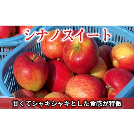 ふるさと納税 ＜2024年11月中旬よりお届け＞北海道壮瞥町 りんご