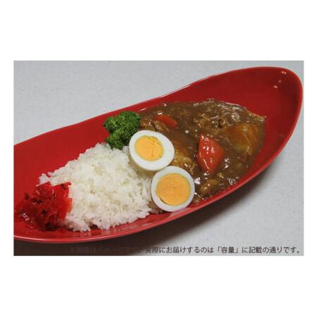 ふるさと納税 有田焼  赤釉ペア楕円皿 中 ARITA PORCELAIN LAB【アリタポーセリンラボ】オーバルボウル カレー皿 パスタ皿 モダン シンプル 赤 A.. 佐賀県有田町の画像