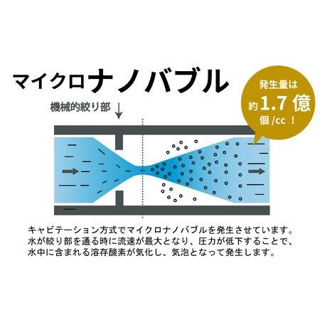 ふるさと納税 ナノバブル浄水シャワーヘッド　バブリージョワー（除塩素⇔水道水切替無し） [No.697] 岐阜県山県市｜furunavi｜03