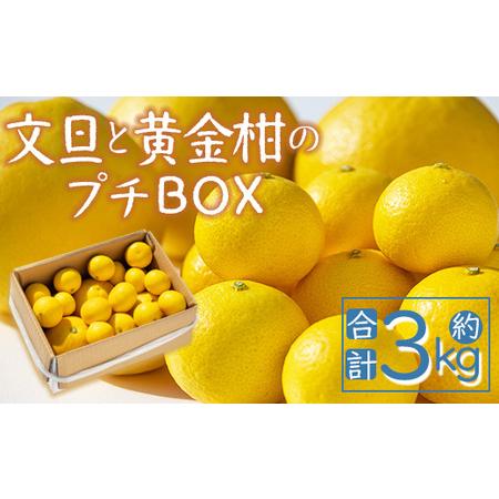 ふるさと納税 間城農園 ちょこっと食べたい方におすすめ「文旦と黄金柑のプチBOX」合計約3kg[文旦 果物 文旦 フルーツ 文旦 デザート 文旦 高評.. 高知県香南市