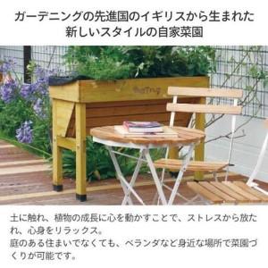 ふるさと納税 57928000 ホームベジトラグ ウォールハガー S ナチュラル 和歌山県海南市の画像