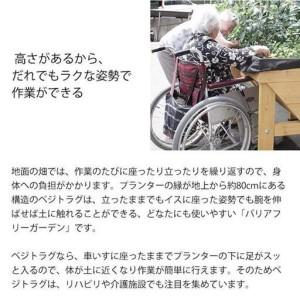 ふるさと納税 57928000 ホームベジトラグ ウォールハガー S ナチュラル 和歌山県海南市の画像
