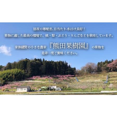 ふるさと納税 りんごの木のオーナー1本 サンふじ 葉とらずりんご F21R-885 福島県白河市