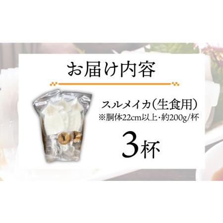 ふるさと納税 スルメ 刺身用 3杯 《壱岐市》【株式会社マルショウ】 いか イカ スルメ おつまみ 刺身 [JEW009] 10000 10000円 コダワリイカ・い.. 長崎県壱岐市｜furunavi｜02