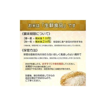 ふるさと納税 【米食味コンクール金賞受賞農園】 《定期便5回》 令和7年産 特別栽培米 つや姫 5kg×5か月 『しまさき農園』 山形南陽産 米 .. 山形県南陽市