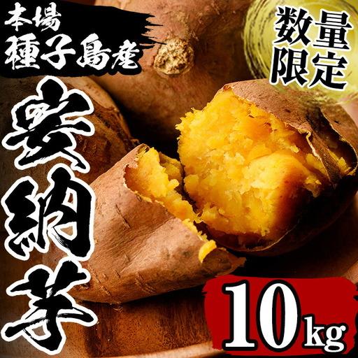ふるさと納税 安納芋 さつまいも 10kg[永濱農園]n084 鹿児島県中種子町