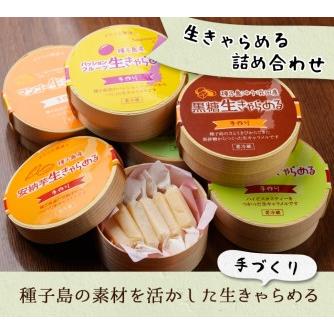 ふるさと納税 n018 生キャラメル 詰め合わせ 6種・各12粒入 国産 種子島 生 きゃらめる 安納芋 緑茶 黒糖 ハイビスカスティー パッションフ.. 鹿児島県中種子町の画像