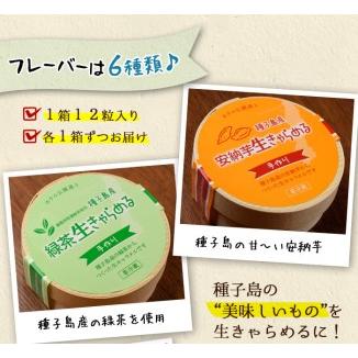 ふるさと納税 n018 生キャラメル 詰め合わせ 6種・各12粒入 国産 種子島 生 きゃらめる 安納芋 緑茶 黒糖 ハイビスカスティー パッションフ.. 鹿児島県中種子町の画像