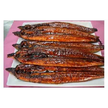 ふるさと納税 [数量限定!]仁淀川特大肉厚うなぎ10尾セット[株式会社山本養鰻] [BQAL004] 高知県土佐市