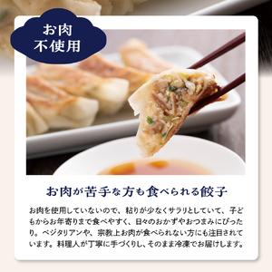 ふるさと納税 やまがた東根 ふ餃子 12個×4セット hi004-hi038-006r 冷凍 麩 餃子 48個 惣菜 おかず お弁当 おつまみ 山形県 東根市 山形県東根市の画像