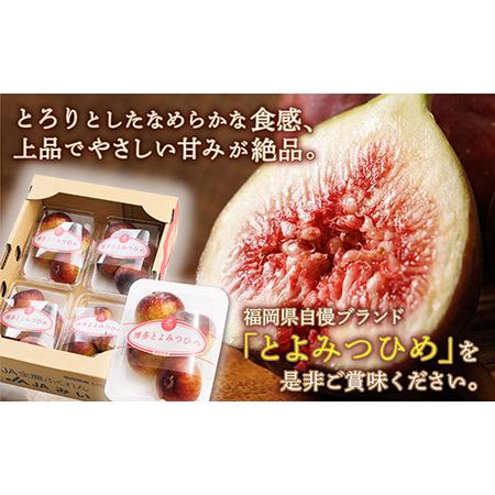 ふるさと納税 いちじく 「 とよみつひめ 」約1.2ｋｇ(約300ｇ&times;4パック) 福岡県 フルーツ くだもの 果物 ブランド  イチジク イチシ゛ク 無花.. 福岡県赤村