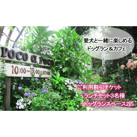 ふるさと納税 愛犬と楽しめるドッグランカフェ「ランチ3名様と広さ150坪のドッグランスペース2匹以上可能 愛犬用プリン」ご利用チケット 岡山県.. 岡山県倉敷市