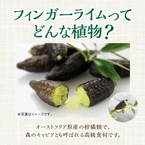 ふるさと納税 チーム田主丸『フィンガーライムの苗木』_Hf033_苗木 8号鉢 チーム田主丸 フィンガーライムの苗木 1鉢 フィンガーライム 柑橘類.. 福岡県久留米市 