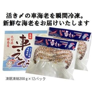 ふるさと納税 生食用凍眠凍結姫島車えび(養殖)約200ｇ(6尾〜10尾)×12パック A6 大分県姫島村の画像