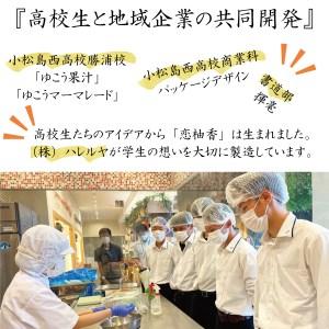 ふるさと納税 恋柚香（こいゆこう）パウンドケーキ 2本 徳島県勝浦町_2