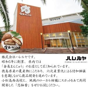 ふるさと納税 恋柚香（こいゆこう）パウンドケーキ 2本 徳島県勝浦町_4