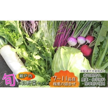 ふるさと納税 瀬戸内「旬」のお野菜セット 7〜11品目程度の詰合せ 野菜 農薬 化学肥料 除草剤不使用 岡山 M's farm 野菜の詰め合わせ 味が濃.. 岡山県瀬戸内市