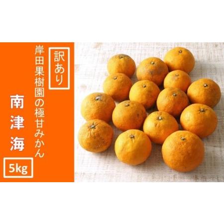 ふるさと納税 [訳あり]南津海(なつみ)みかん約5kg_2170R 大分県国東市