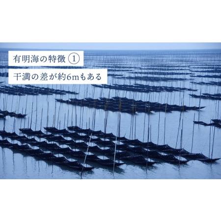 ふるさと納税 【全6回定期便】プレミアム佐賀海苔 味付け海苔 5袋詰(10切50枚) のり 味のり 海苔[FBC023] 佐賀県吉野ヶ里町の画像