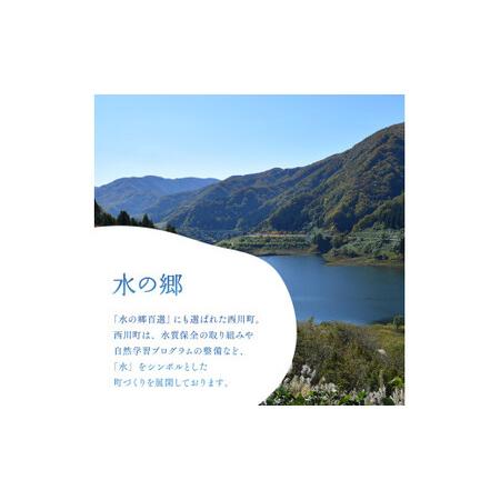 ふるさと納税 FYN9-729 【定期便】月山自然水500ml×24本×3ヶ月コース 水 天然水 国産 備蓄 防災 保存 ペットボトル ナチュラル 水水水.. 山形県西川町_3