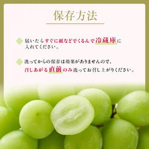 ふるさと納税 2026年産ぶどう  シャインマスカット 約4kg 6〜12房入り 葡萄 ブドウ シャイン マスカット 果物 フルーツ デザート おやつ 種なし .. 長野県長野市の画像